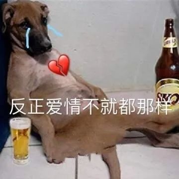 WechatIMG478.jpeg